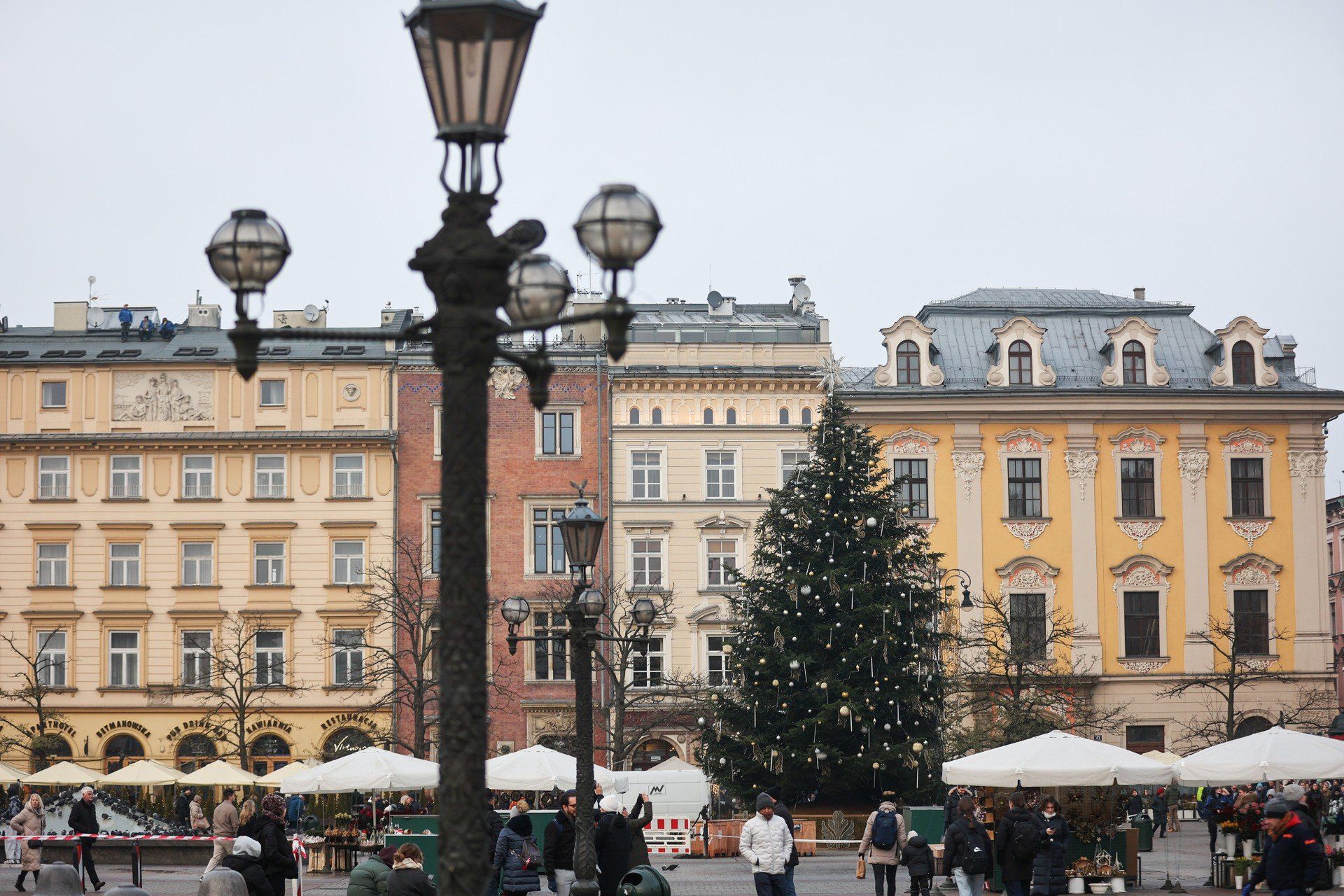 W Krakowie na Rynku Głównym pojawiła się już choinka