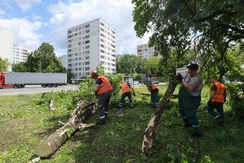 Trwa wielkie sprzątanie po nawałnicach w Sosnowcu. Ponad 160 zdarzeń. "Działania trwają"