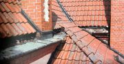 Piła: Zamiast deszczu spadły kłopoty. Dwóch mężczyzn ukradło rynny warte 40 tysięcy złotych