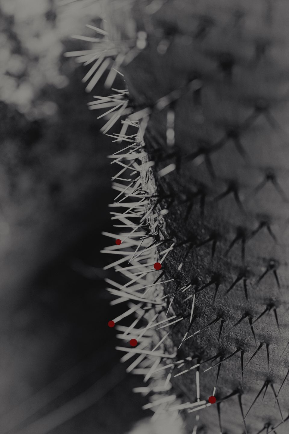 Kontrowersyjny materiał o samobójstwach wygrał Sony World Photography Awards 2019 85