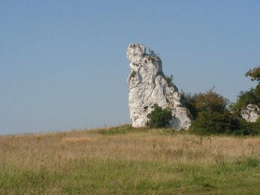 Obraz