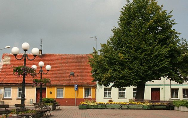 Obraz