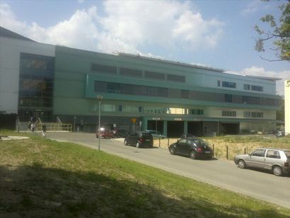 Obraz