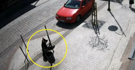 Atak w Lęborku. Pies został sam, gdy jego pan poszedł do sklepu. Nagranie