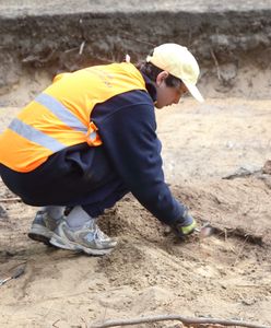 Wielkopolska. Sensacyjne odkrycie, naukowcy mówią o zaskoczeniu