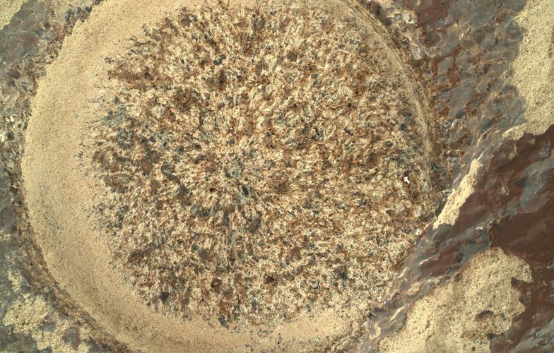 NASA pokazuje nowe zdjęcia z Marsa. Internauci są pewni tego, co widzą