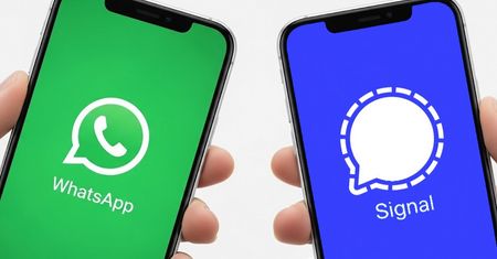 Reklamy na WhatsAppie. Jest reakcja Signala