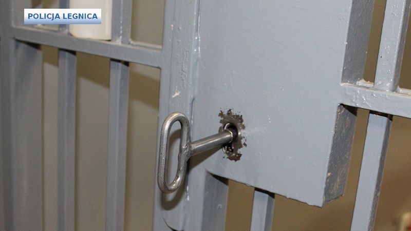 Legnica. 46-latek znęcał się nad córką i partnerką. Grozi mu 5 lat więzienia