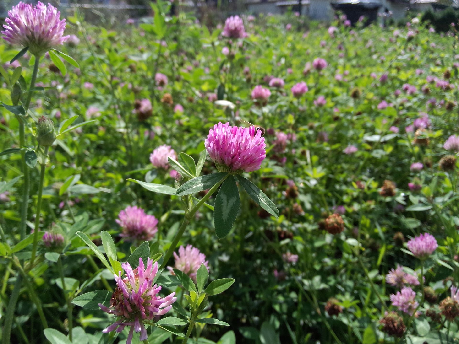 Meizu MX3 - chińskie cacko w Europie [test] 13