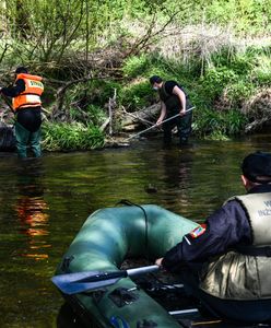 Poszukiwania 3,5-letniego Kacperka pod Bolesławcem. Nowy trop. W akcji psy tropiące