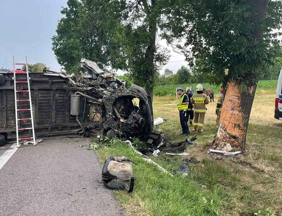 Tragiczny wypadek w Wólce Orłowskiej. Ciężarówka wioząca konie do rzeźni uderzyła w drzewo