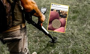 Historia ukryta pod stopami. Odkrył monetę z 1693 roku