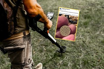 Historia ukryta pod stopami. Odkrył monetę z 1693 roku