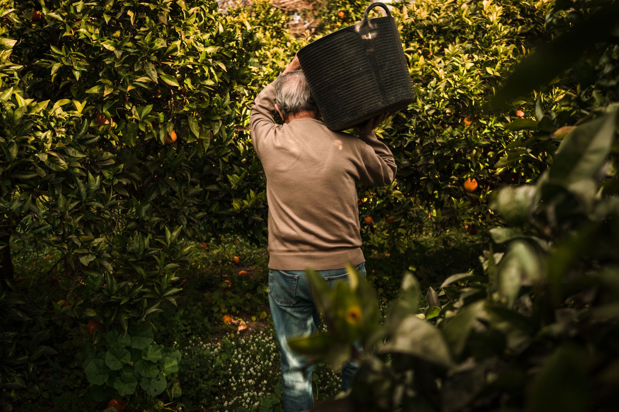 Kontrowersyjny materiał o samobójstwach wygrał Sony World Photography Awards 2019 151