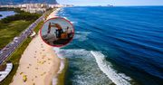 Kolos na plaży. Aby go usunąć, konieczny był ciężki sprzęt