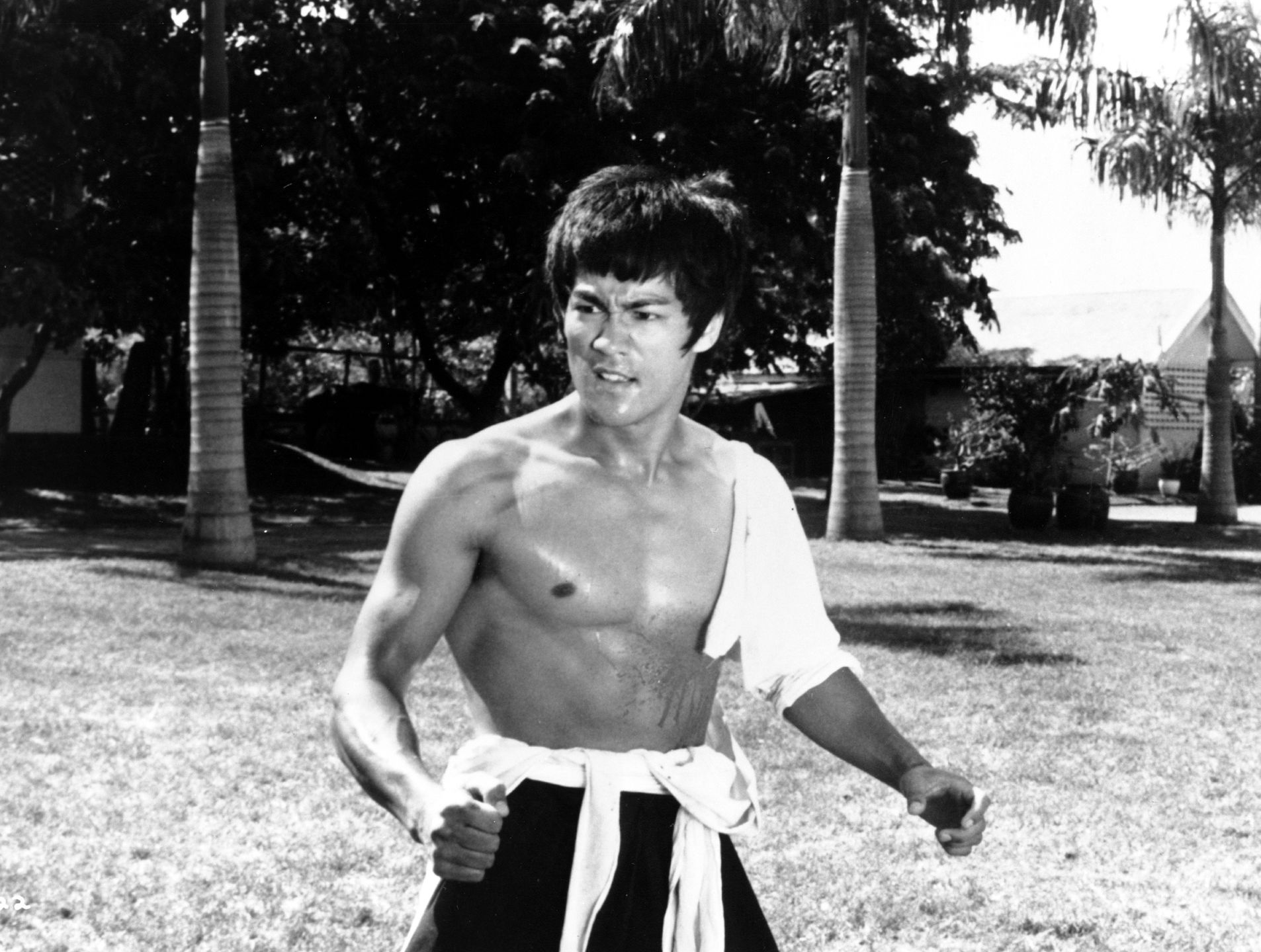Bruce Lee