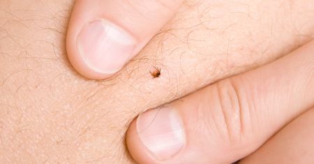 Już atakują. "Nie możemy się przed nimi w pełni ochronić"