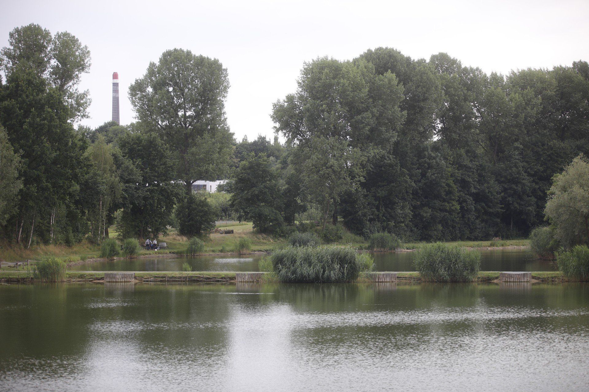 Bardzo tajemniczymi istotami są utopce. To wodne duchy zamieszkujące stawy