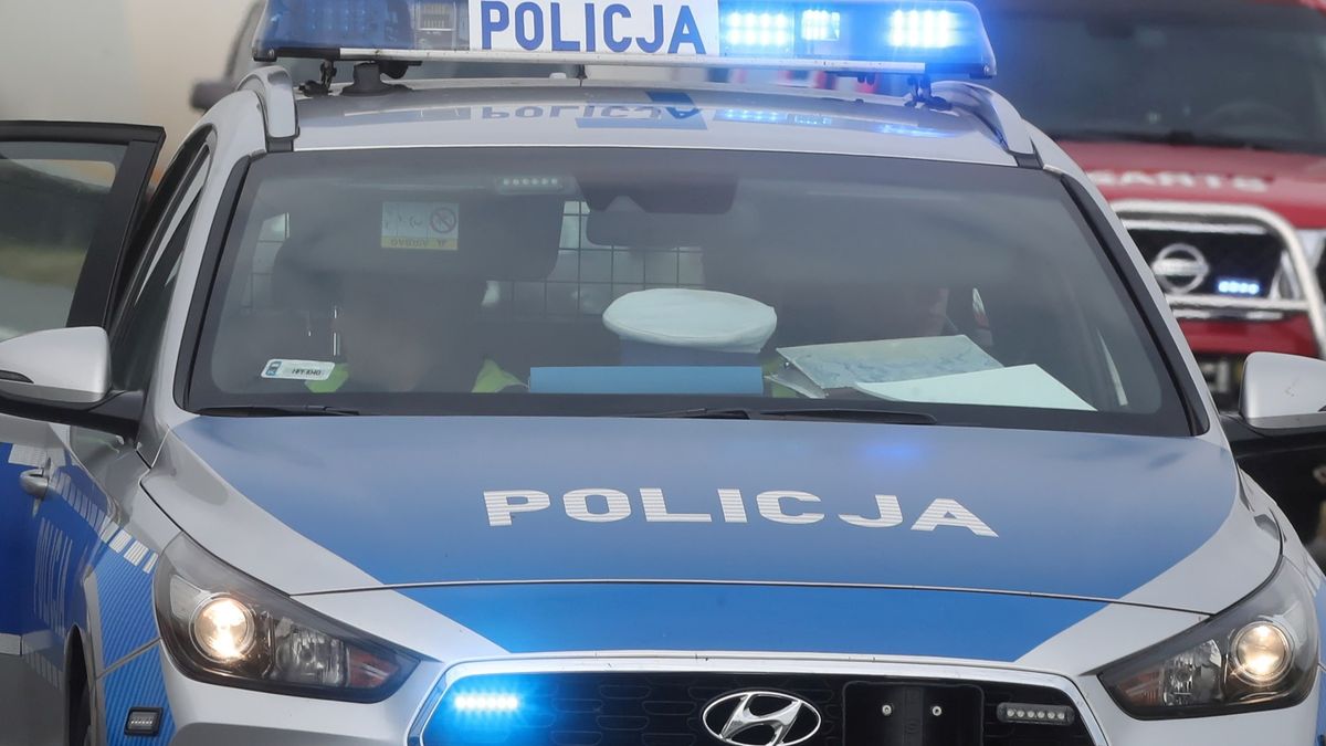 Zdjęcie ilustracyjne. 