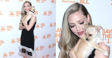 Troskliwa Amanda Seyfried przytula pieska