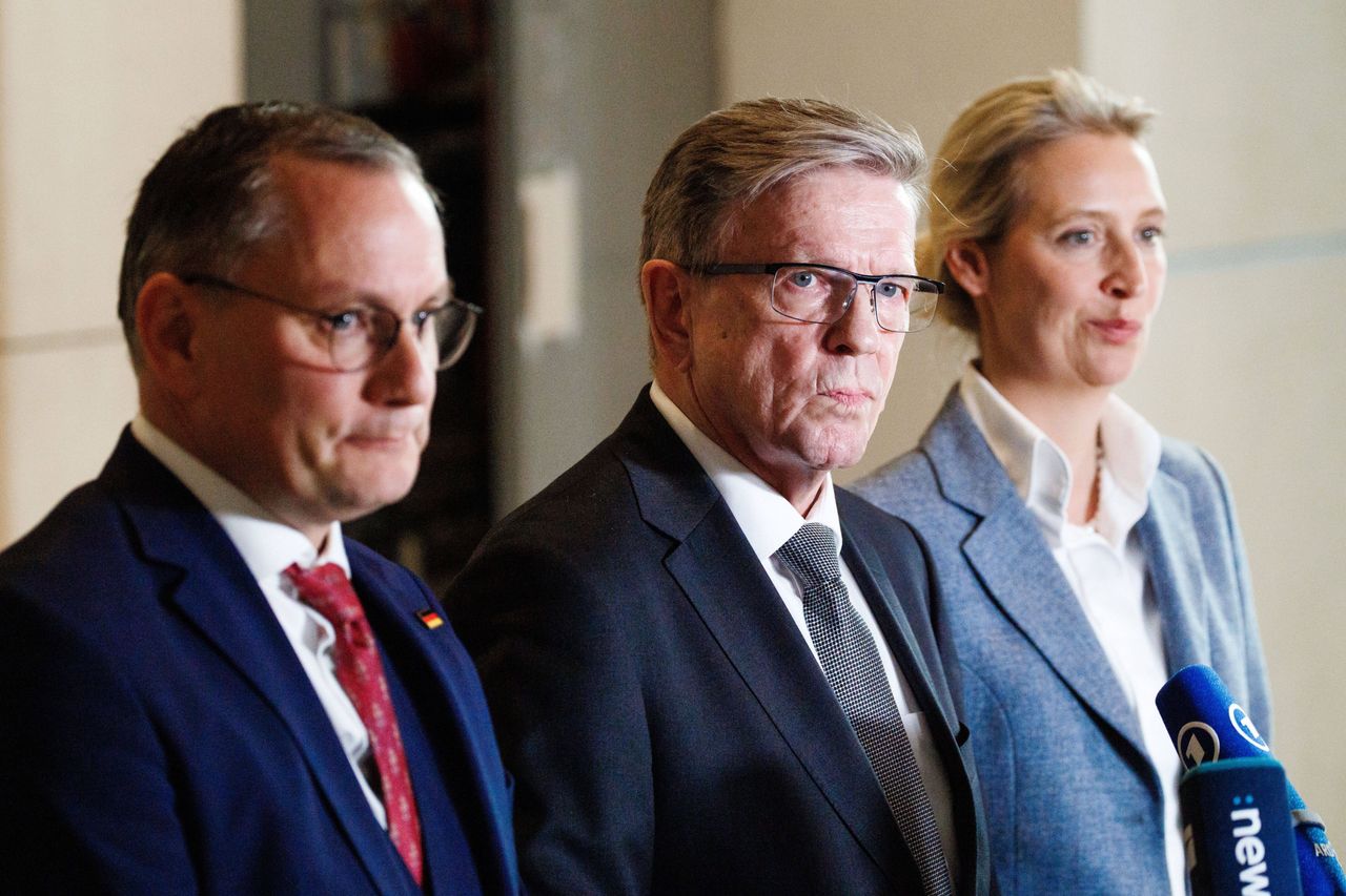 German intelligence labels AfD extremist, party to sue