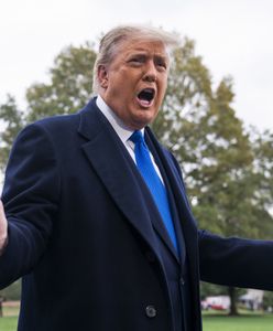 Wybory w USA. Zhakowano stronę kampanii Trumpa