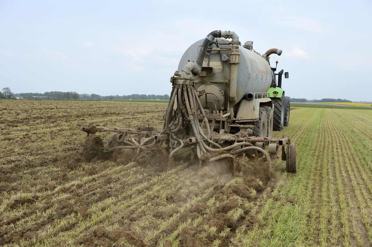 Obornik na celowniku. Kary finansowe dla rolników znacząco wzrosną