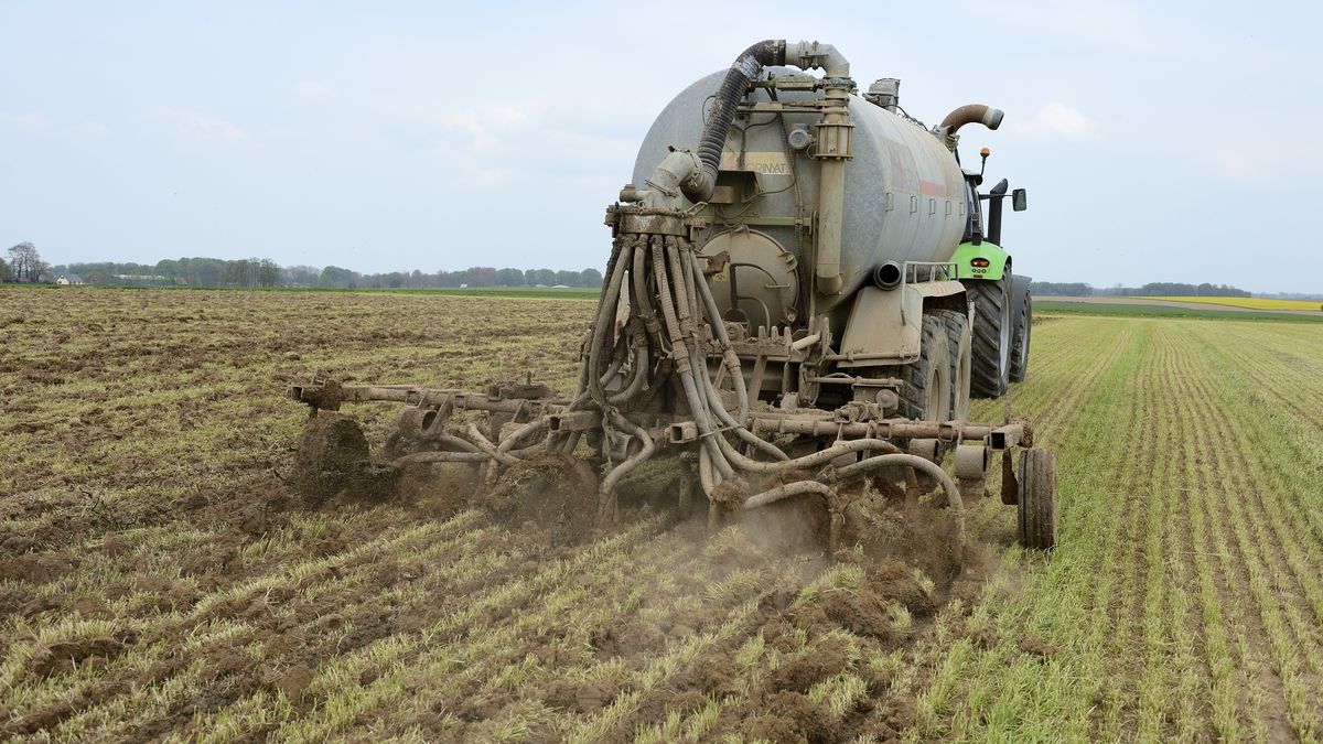 Spreading liquid manure on a recently mown ryegrass field, using a slurry tanker equipped with a soil burier before ploughing and sowing corn. (Photo by: Leitenberger S/Andia/Universal Images Group via Getty Images)