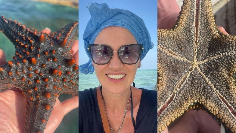 Anna Nowak-Ibisz krytykowana za zdjęcia  rozgwiazdami na Zanzibarze