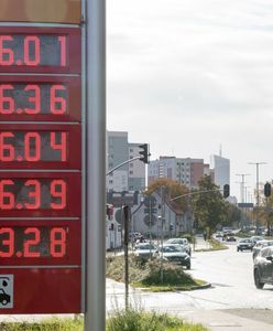 Paliwo w tym roku nie potanieje. Ekspertka: "Największe podwyżki mamy za sobą"