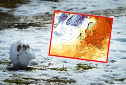 Wielka anomalia pogodowa w styczniu. "Tego jeszcze nie widzieliśmy"