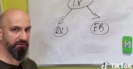 Masowo tną drzewa i wysyłają do Chin? Lasy Państwowe tłumaczą