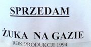 Żuk na gazie, czyli rzeczywistość w krzywym zwierciadle