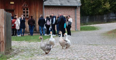 Darmowe zwiedzanie w Lublinie! Sprawdź, które muzea i galerie odwiedzisz bezpłatnie w tym tygodniu [6-12 PAŹDZIERNIKA]