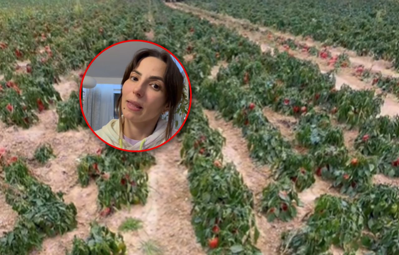 Tego się nie spodziewała. Samozbiory trwały jeden dzień. "10 ton"