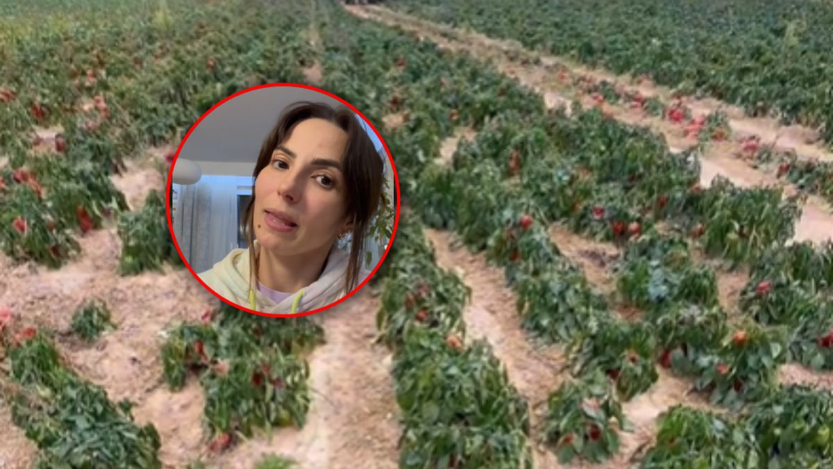 Samozbiory zakończone w ciągu jednego dnia.