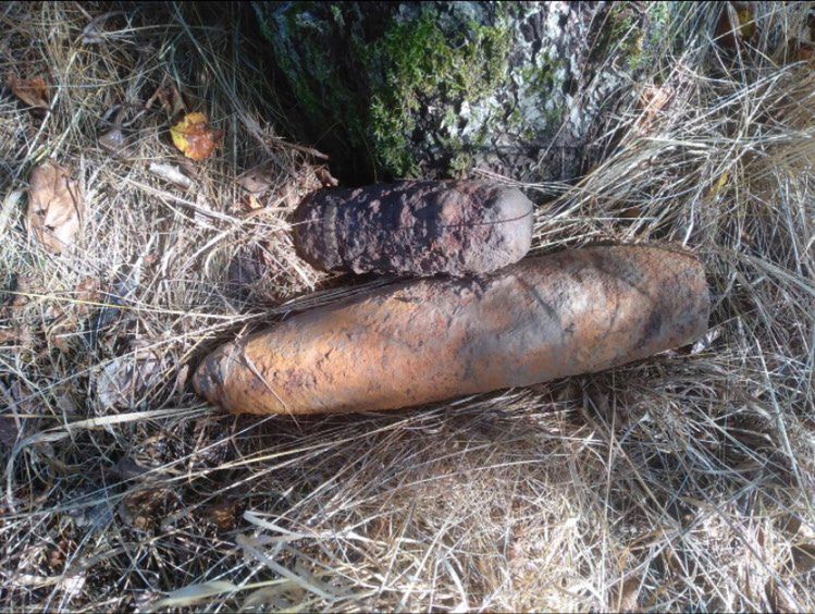 Niebezpieczne znaleziska na Mazowszu. Znajdują je w stawach, lesie i własnym ogródku