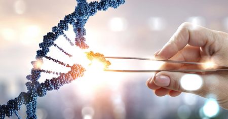Heterozygota, homozygota i hemizygota – co warto wiedzieć?