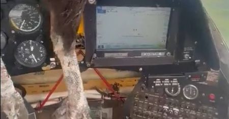 Ptak rozbił szybę w kokpicie. Pilot spokojnie leciał dalej