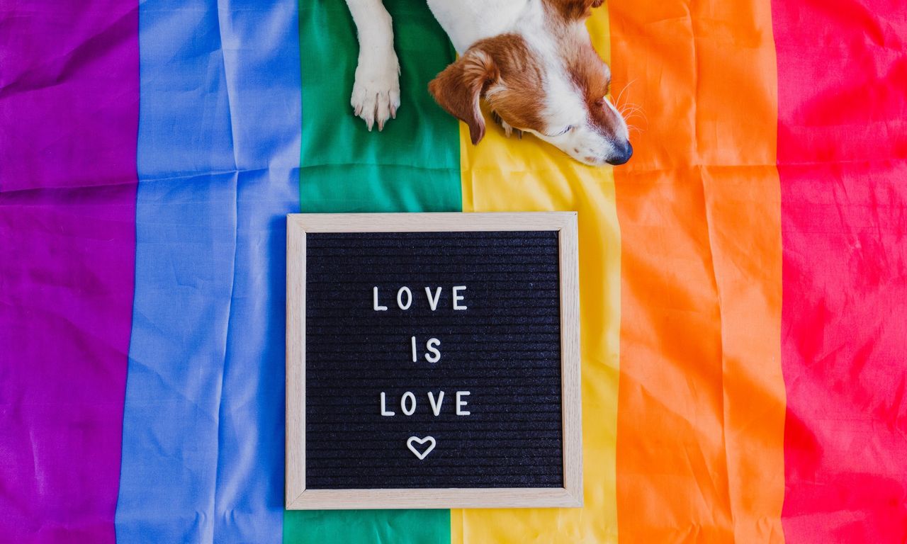"Jestem LGBT - jestem człowiekiem" - spot Kampanii Przeciw Homofobii