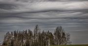 Witold Ochał sfotografował w Polsce nowy gatunek chmur - Asperitas