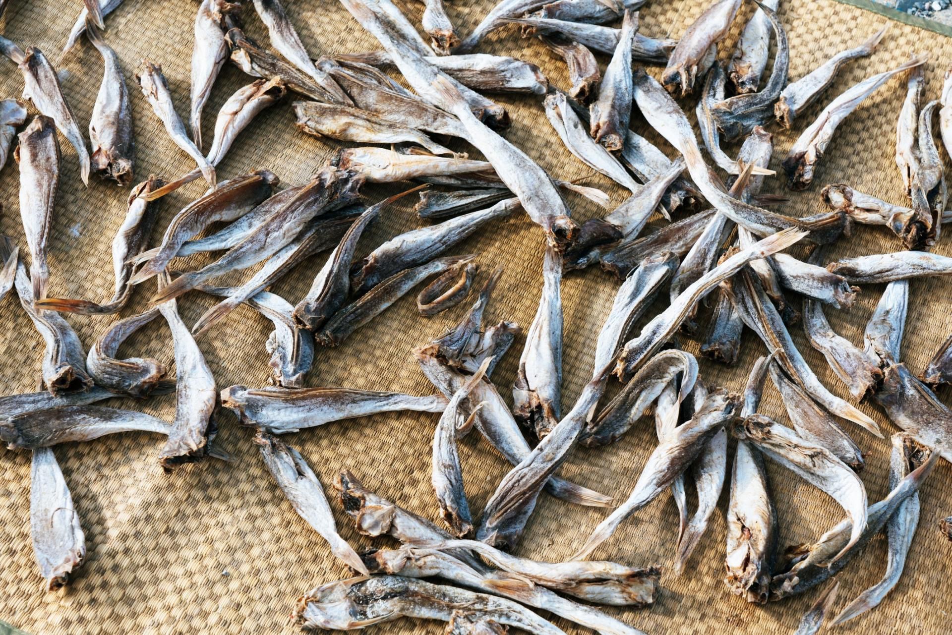 W procesie suszenia ryby wkłada się do roztworu o wysokiej zawartości soli