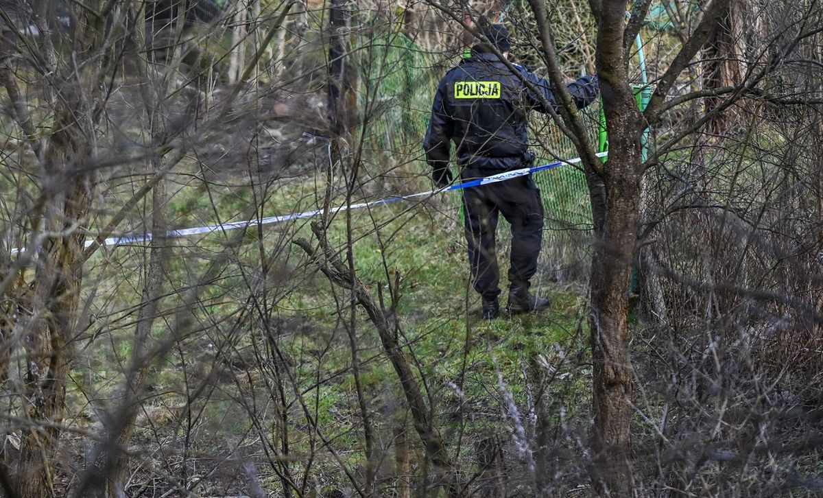 Środa Wielkopolska. Znaleziono ciało policjantki i jej 9-letniego syna (zdjęcie ilustracyjne)