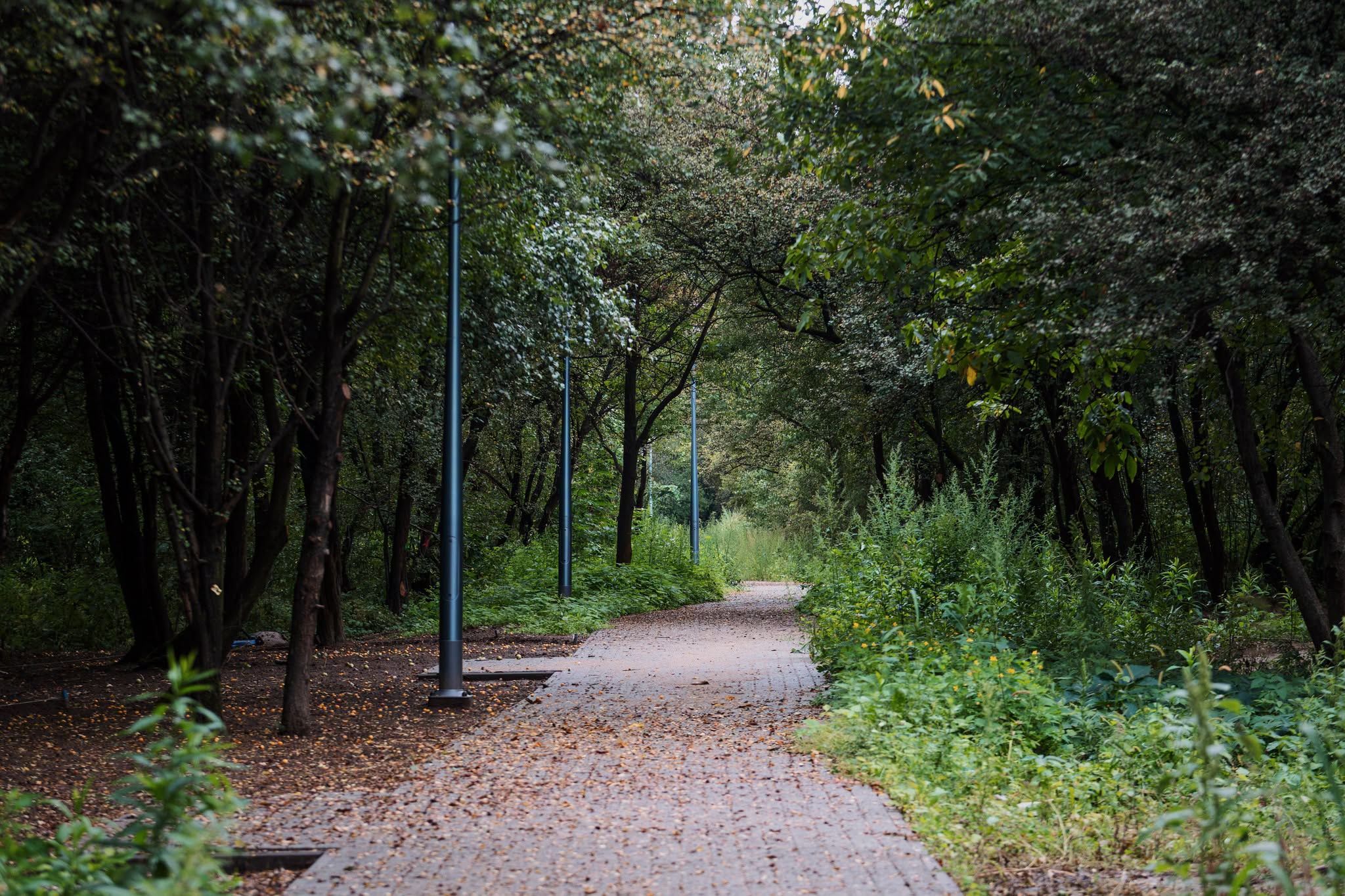 Park na Międzytorzu w Płocku 