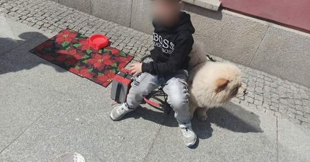 Matkę chłopca ukarano. Smutny widok we Wrocławiu