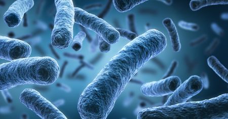Legionella atakuje Polaków. Pierwszy przypadek w Małopolsce