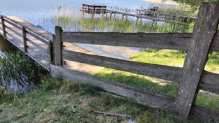 Trwa masowe rozbieranie płotów. Urzędnicy: Tak stawiać ich nie wolno