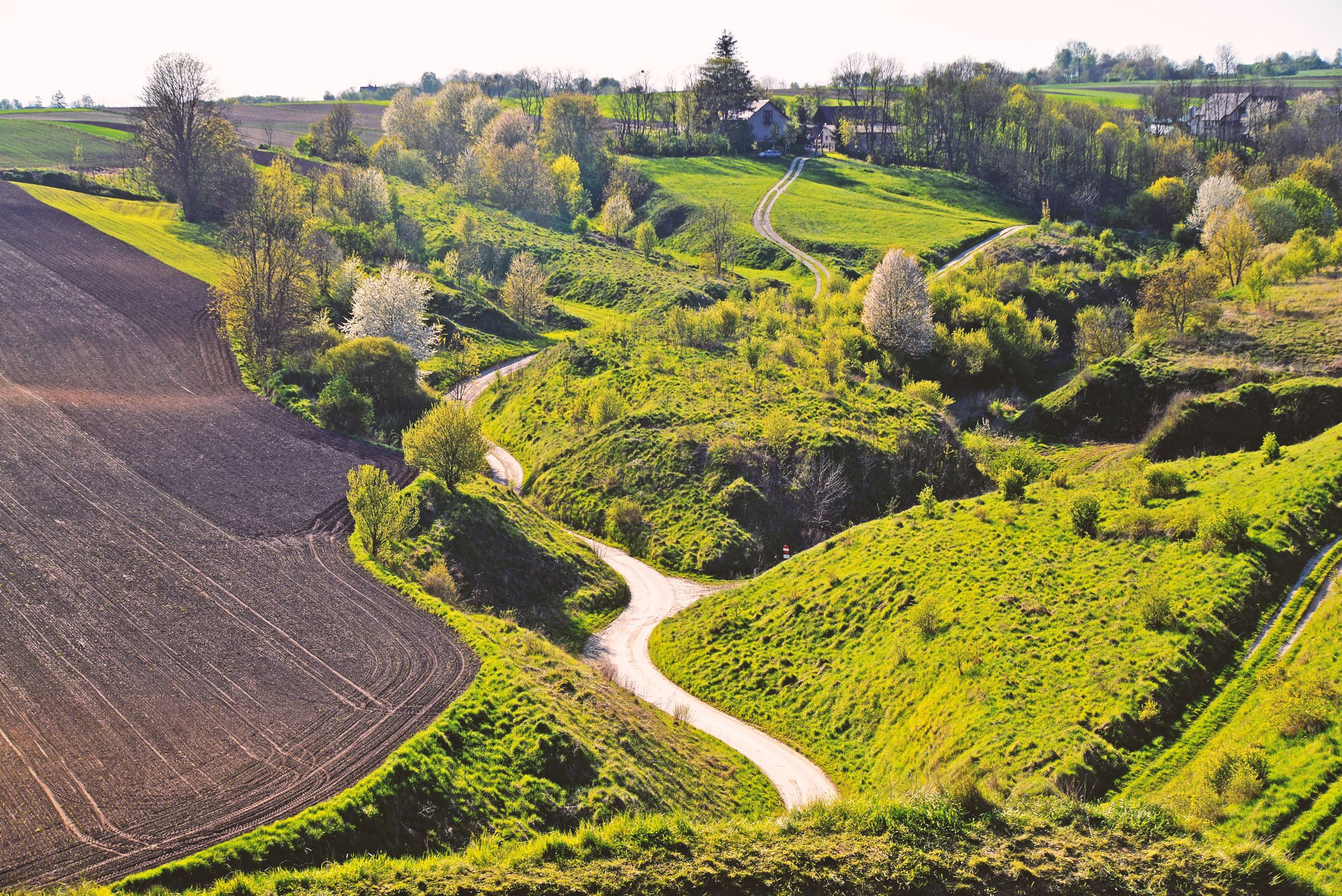Grodzisko Stradów 