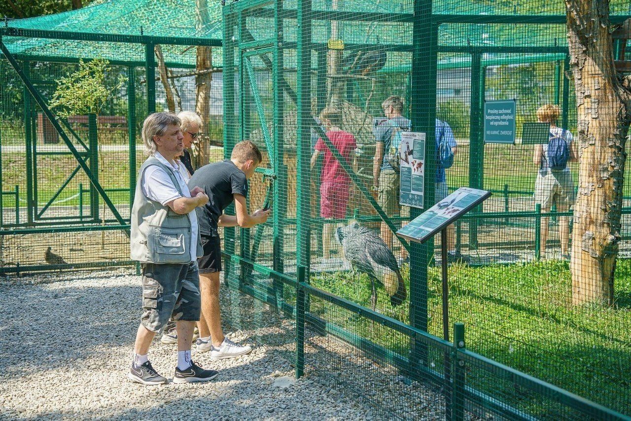 Muszyna i jej popularne atrakcje. Kolejne czekają na realizację