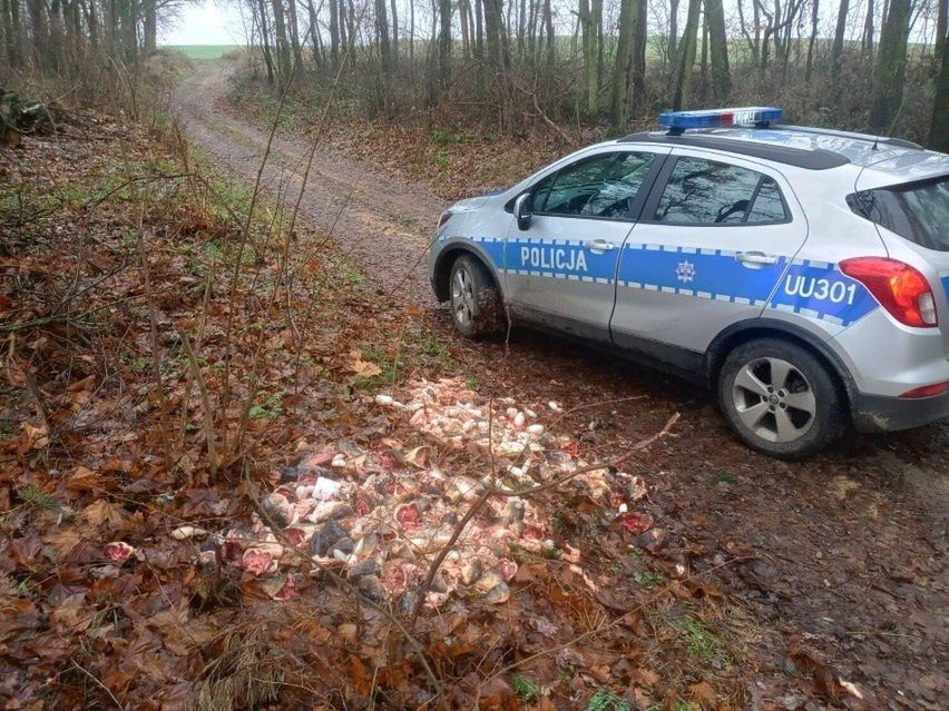 W lesie przy drodze pod Wojnowicami (woj. wielkopolskie) jeden z mieszkańców okolicy natrafił na kilogramy rybich głów i wnętrzności. 